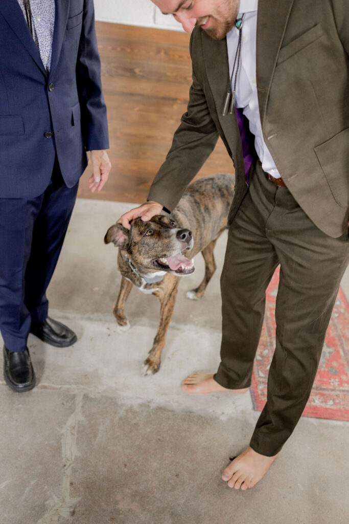Spencer’s dog