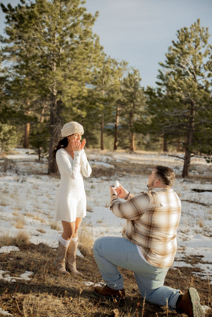 Proposal among Colorado pine trees