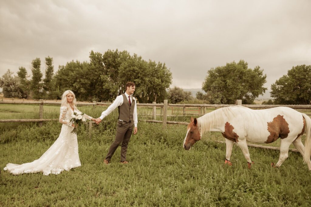 Bride and groom holding hands in a pasture beside a brown and white horse

