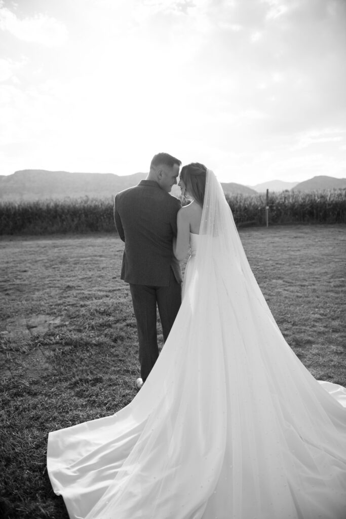 Bride and Groom Silhouette