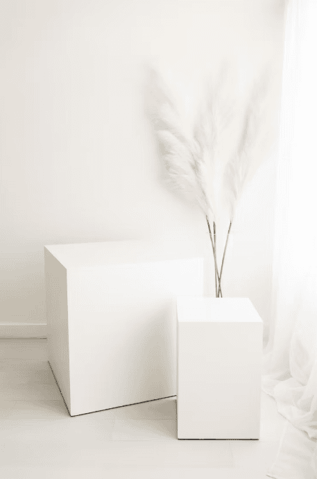 Minimal White Pedestals with Pampas Grass
