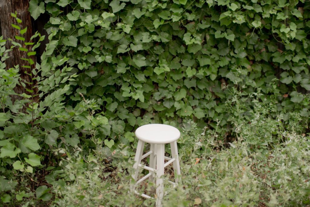 White Stool in Greenery