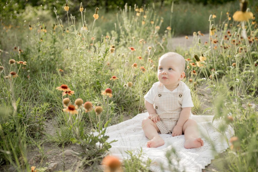 Baby Portraits